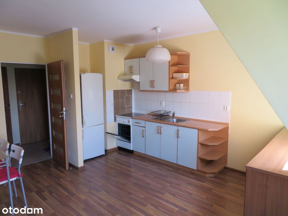 Mieszkanie 1-pokojowe w Poznaniu, 33 m²