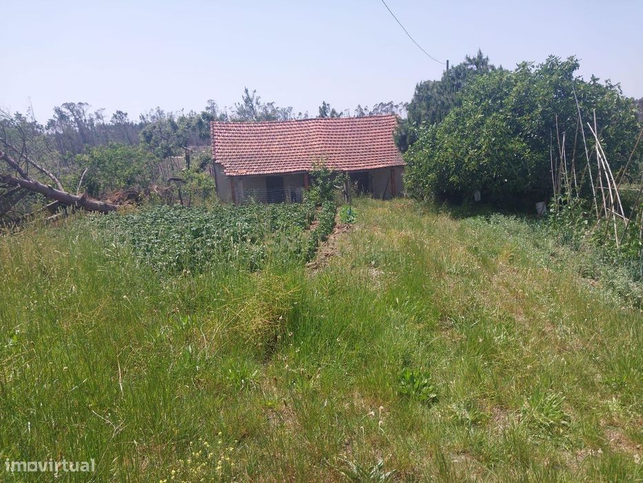 Terreno com 5.900 m² e Potencial de Construção entre a Marinha Grande