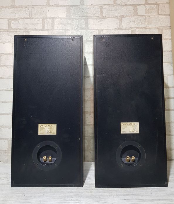 160ВтПолична акустика/полочная ASW Cantius ML III б/у з Німеччини
