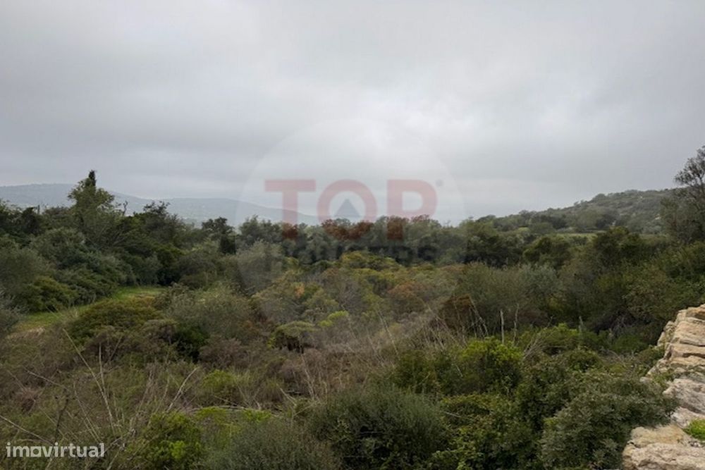 Terreno Rustico em Estoi