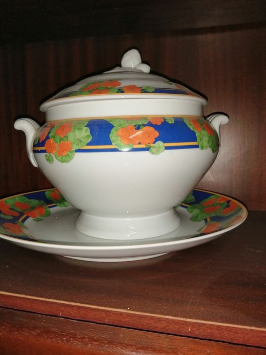 Terrina vista alegre