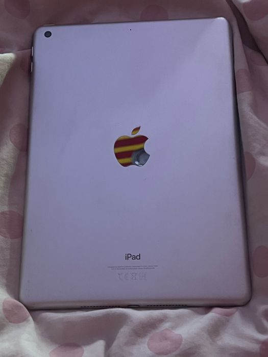 Ipad 6 generacji