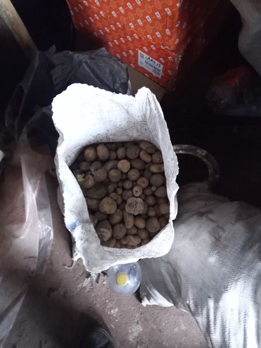 Продам мелкую картошку