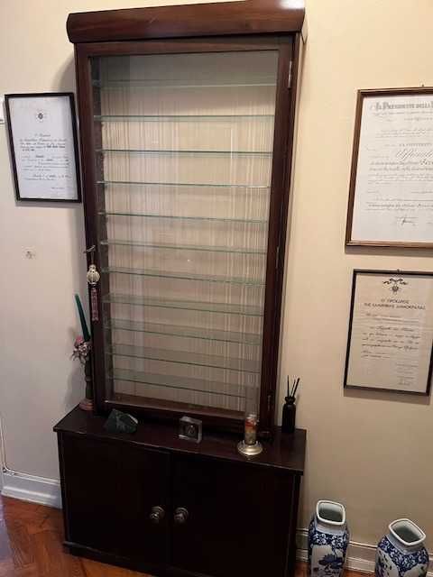 Estante/Vitrine em madeira e vidro