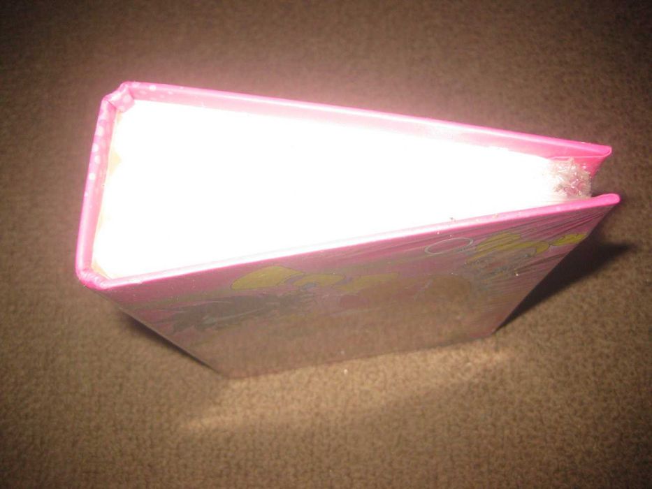 Álbum para Fotos das "Power Puff Girls" Novo e Selado!