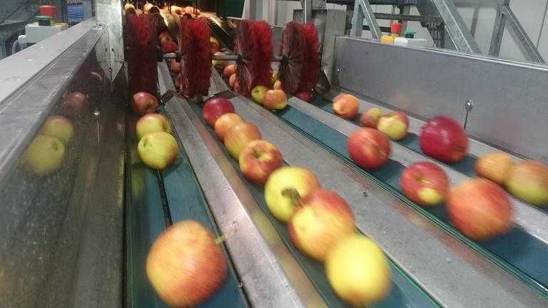 Greefa Geosort 3 Urządzenie do przetwórstwa żywności