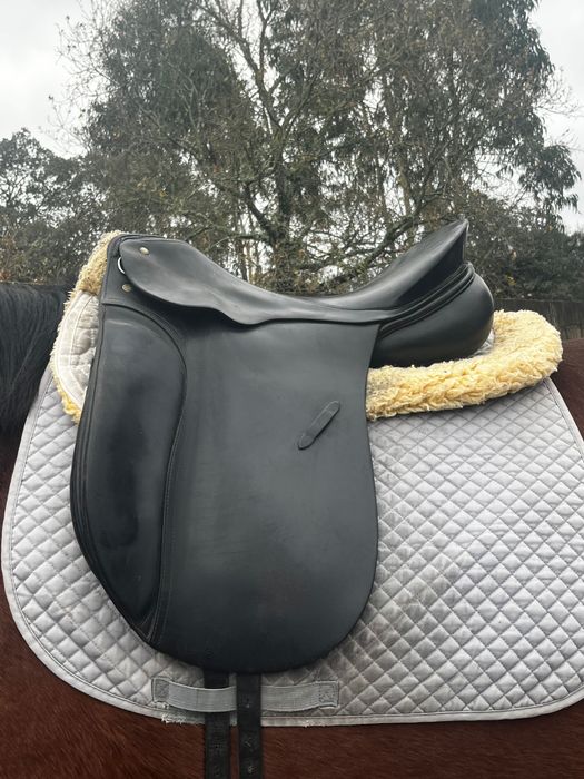 Selim Passier Sonh – nº 17