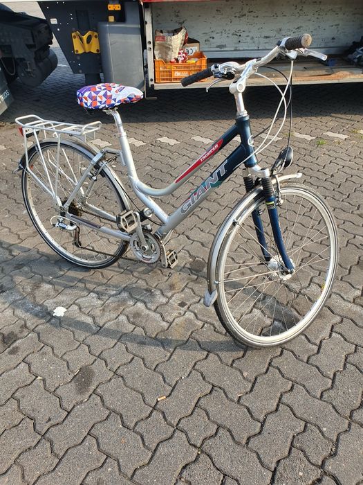 Rower  Giant Hercules