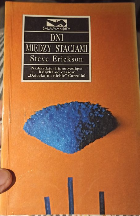 Dni między stacjami. Steve Erickson