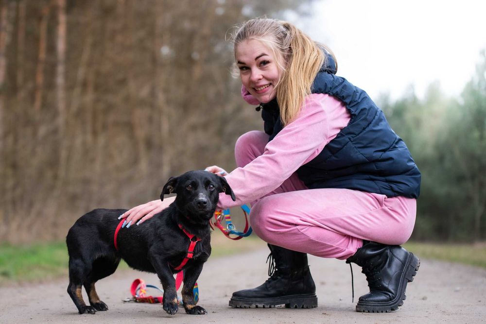 Nitka - maleńka czarnulka - suczka do adopcji