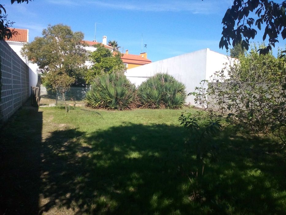 QUINTA Situada a 1800 M  da CIDADE de PONTE de SOR