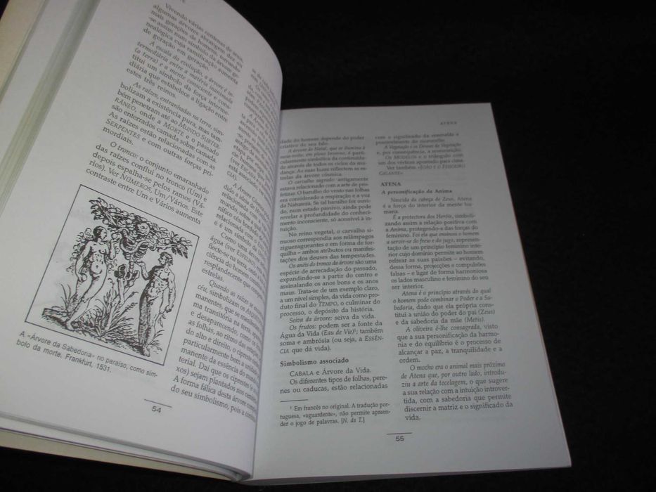 Livro Dicionário dos Símbolos Tom Chetwynd