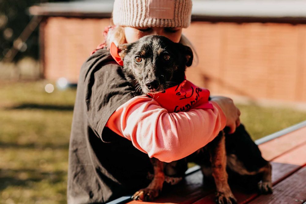 Czy ktoś uratuje Lupiego przed śmiercią w schronisku?
