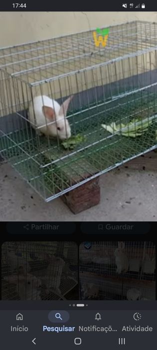 Vendo Gaiola grande  para coelhos