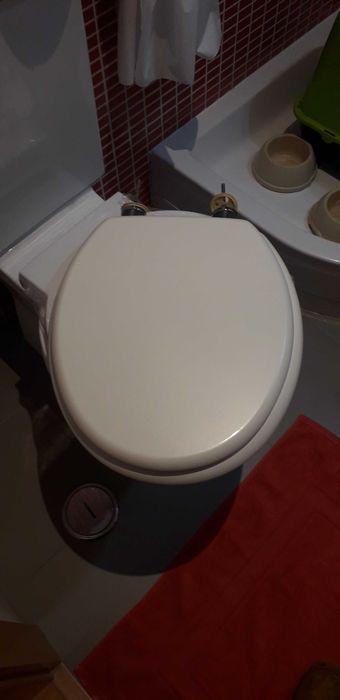 Tampa sanita madeira