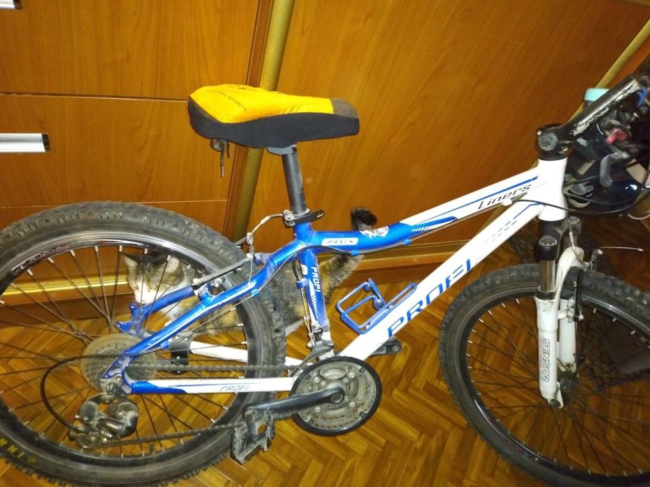 Велосипед Profi Trike Liners