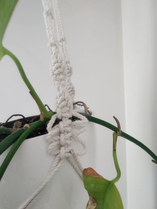Suporte de plantas em macramé
