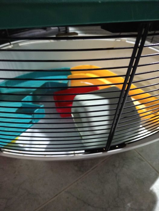Vendo gaiola para hamster