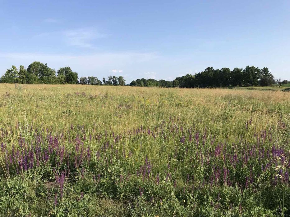 Продам землю 12 гектар 1000$ за га