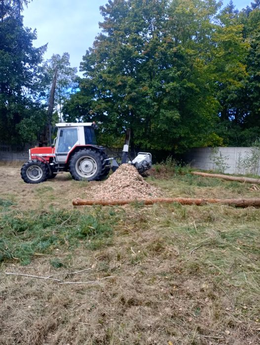 Usługi mulczer,wycinka drzew, rębak