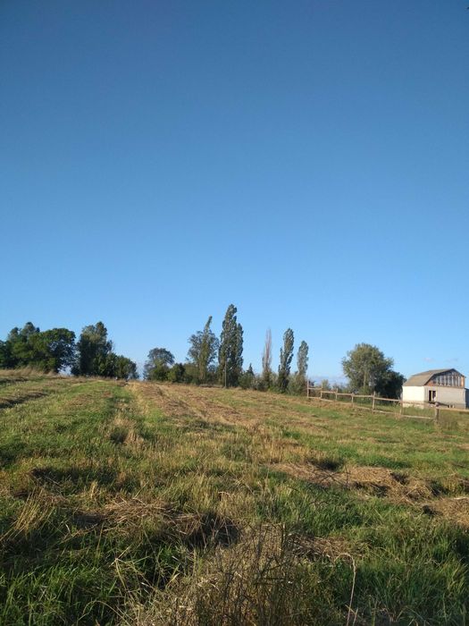 Земля для ведення особистого селянського господарства 0,21(га)