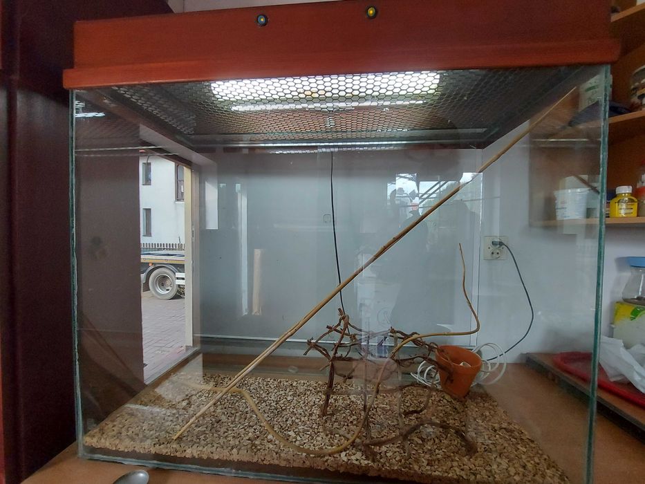 terrarium 102x93x43 Exo Terra