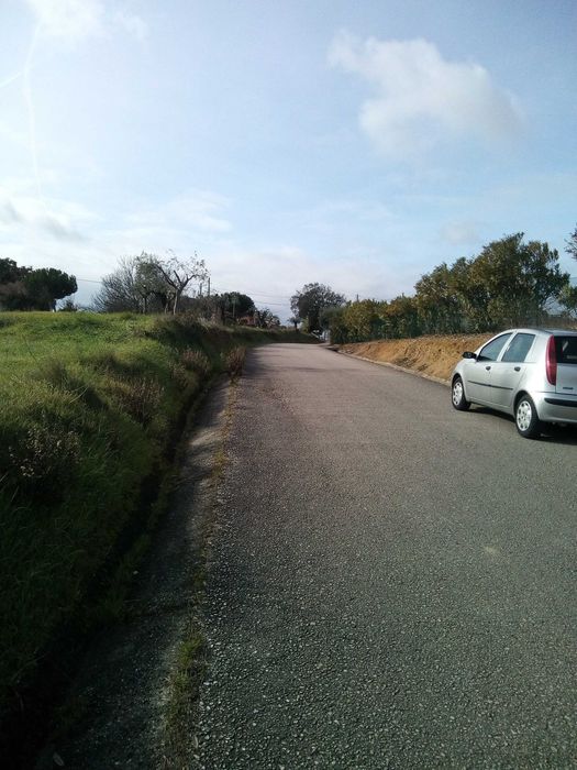Terreno  rustico Tomar (2208 m2)