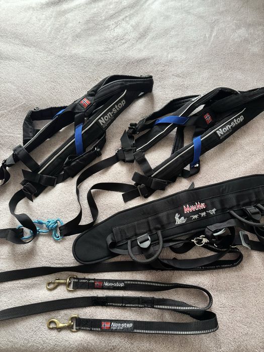 2 Їздові шлейки Non-stop dogwear + Пояс MANMAT CANICROSS + потяг