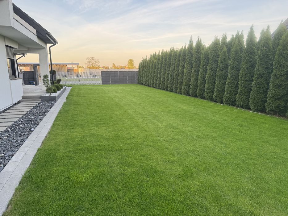 Zakładanie ogrodów pielęgnacja Trawnik Nawadnianie automatyczne