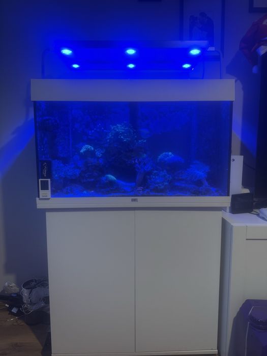 Akwarium (szafka i szklo)