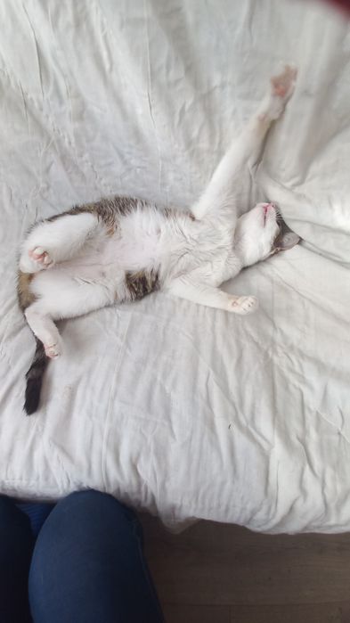 Kto pokocha słodziaka