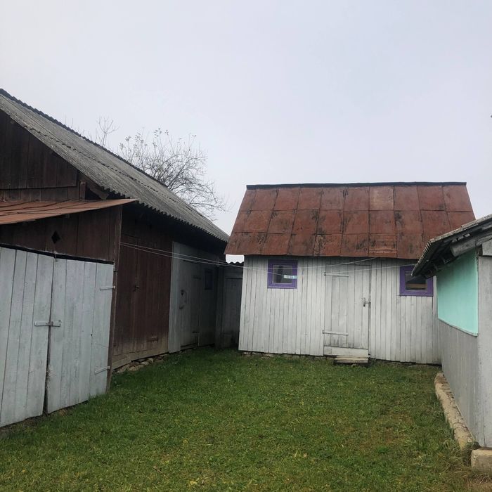 Будинок в Карпатах, біля лісу