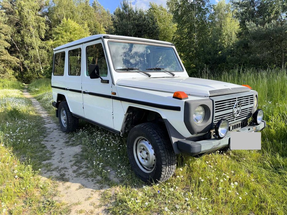 Mercedes Klasa G 1995 2.9 Diesel Professional 4x4 blokady mostów