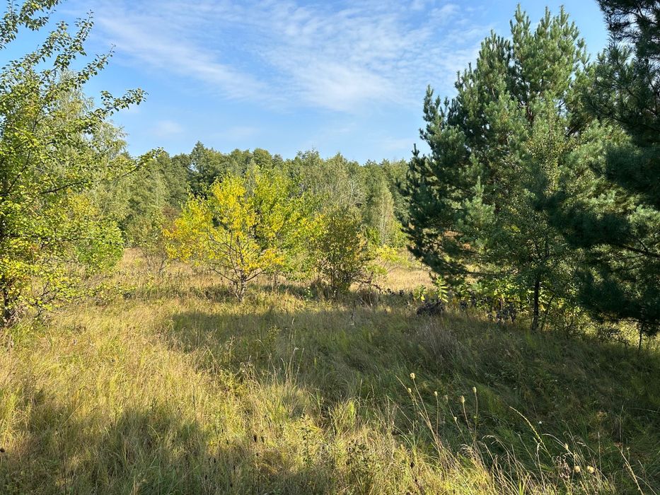 Продаю 5 га під будівництво біля лісу. Місце для усамітнення.