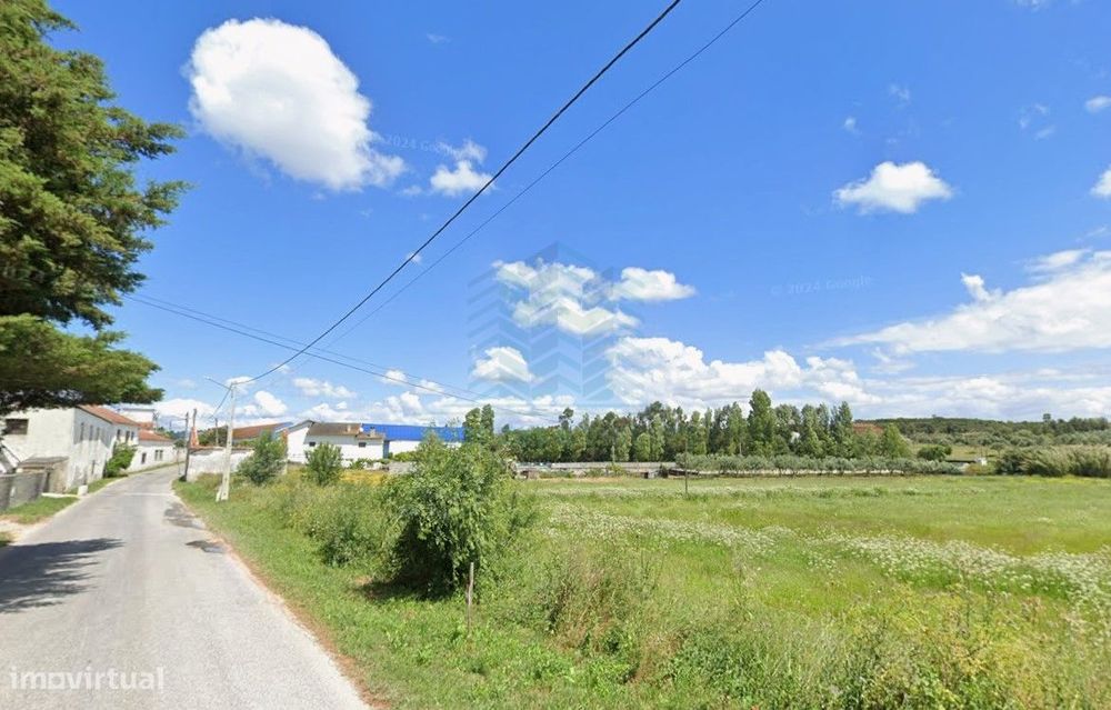 Terreno com 19.640 m² em Alcanena – Oportunidade!