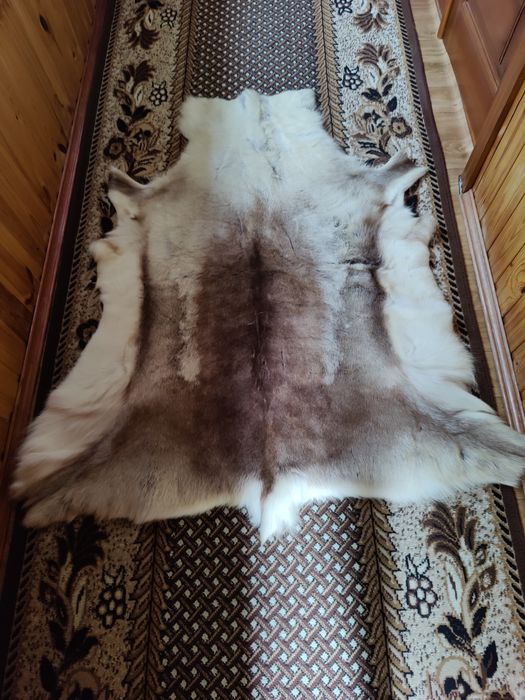 Шкура (хутро) оленя