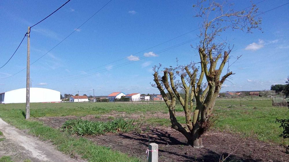 Terreno rústico para projeto de sonho - Perto da Barragem de Magos