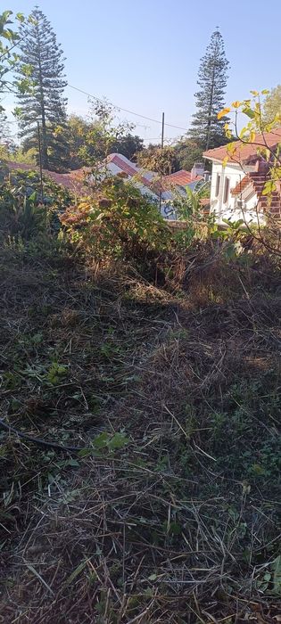 Limpeza de jardim e terrenos
