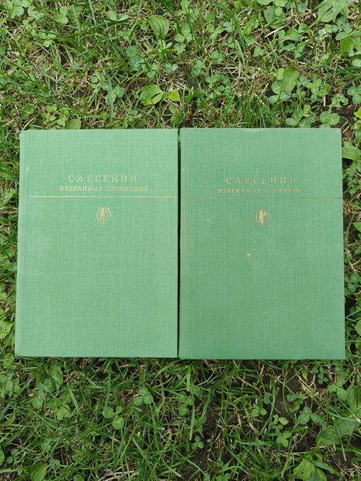 Великий лот книг