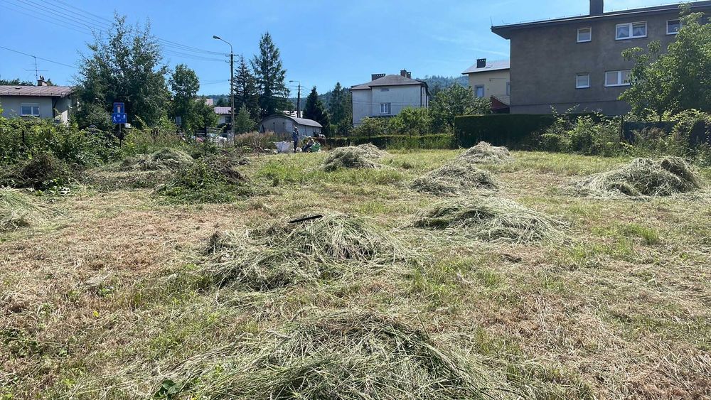 Sprzątanie działek, domów i mieszkań