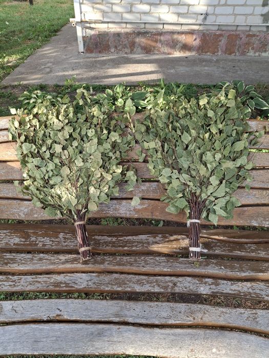 Віники в сауну березові дубові євкаліпт лавада травяні для запаха мята