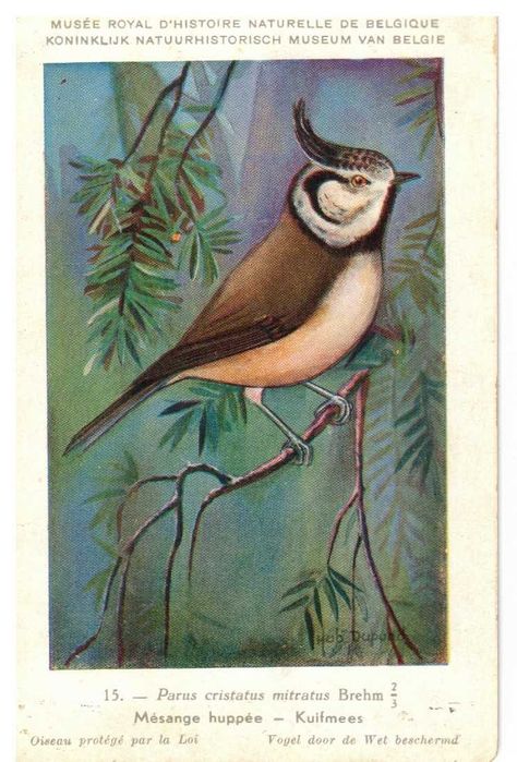 Postais de: Egito, Geres, Museu Calouste Gulbenkian, Aveiro, Pássaros