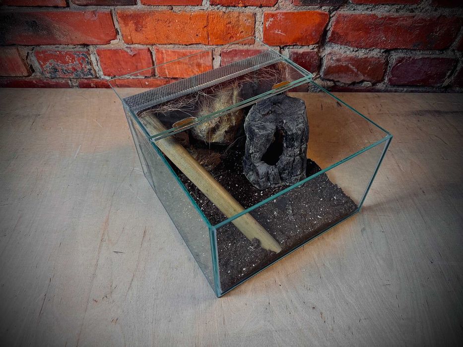 Terrarium szklane z wystrojem typu "zawias" 25x25x15 cm.