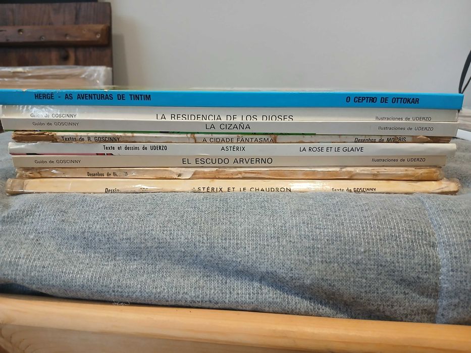 Livros de Banda Desenha (Astérix entre outros)