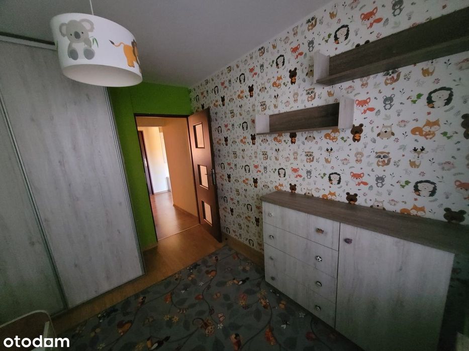 Zdjęcie 3