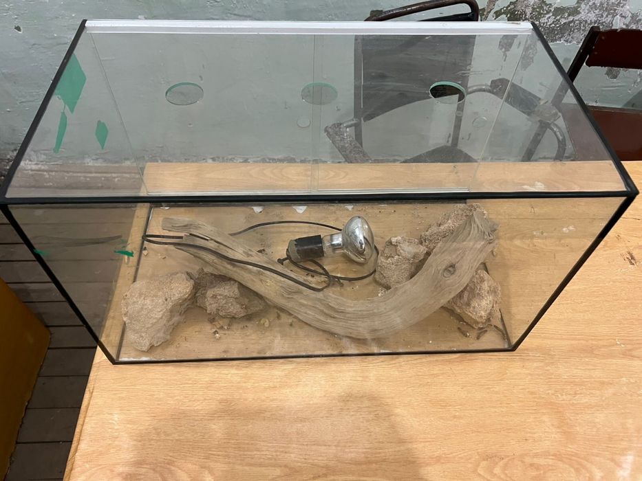 Продам акаариум для рептилий