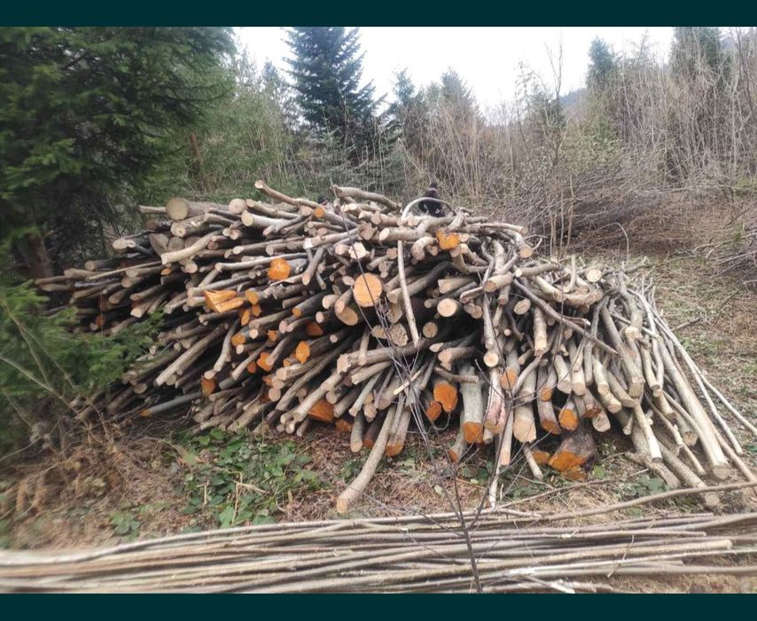 Дрова метровки та рубані твердих порід