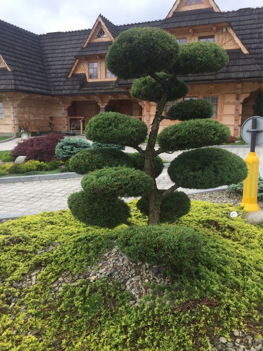 Садовник, которого вы искали!