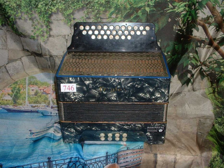 Concertina a venda n.746 Penedono • OLX Portugal