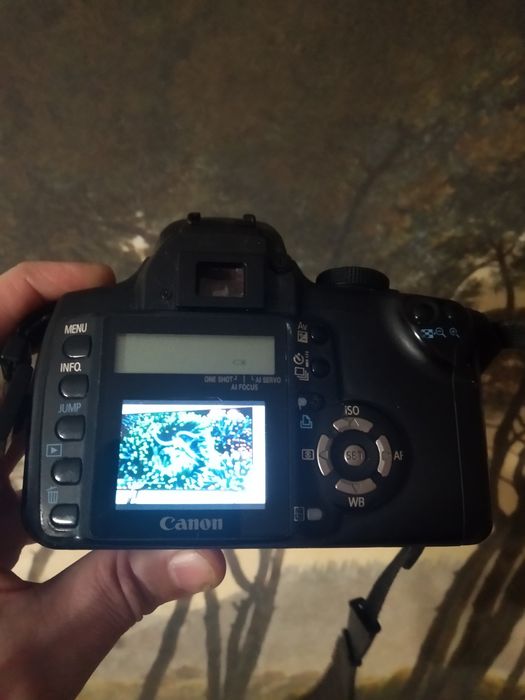 Цифровой зеркальный фотоаппарат Canon EOS350D